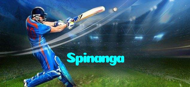 available types of Spinanga bet including pre-match live express and system bets